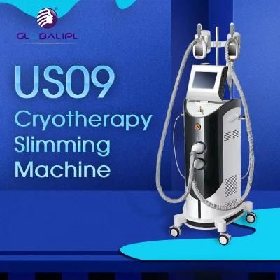 Cryolipolysis Machine Laser Fat Dissolving Equipment for Clinic