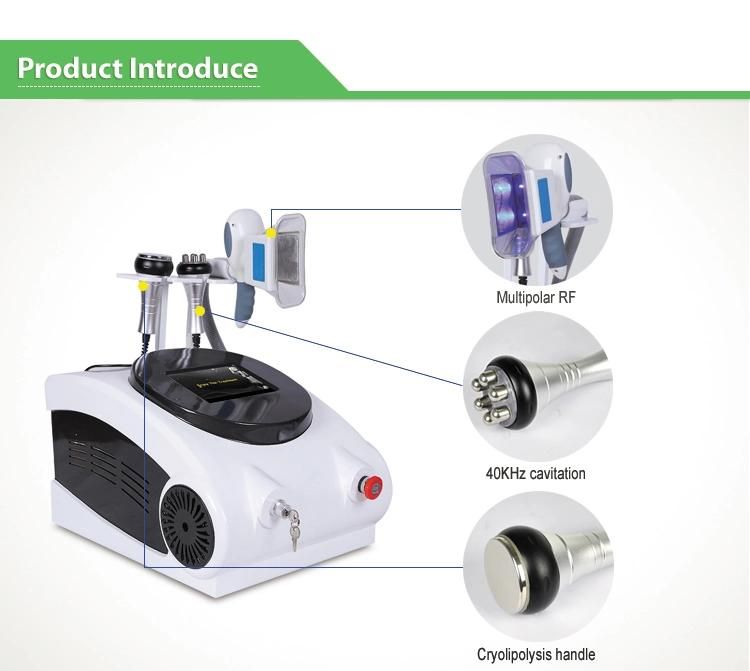 Factory Price Cavitation RF Cryolipolysis Slimming Machine for Fat Removal