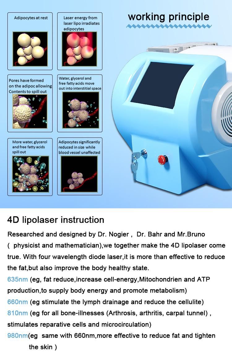 4D Profession Diode Laser for Slimming with 350MW Power Lipolaser Slimming Machine