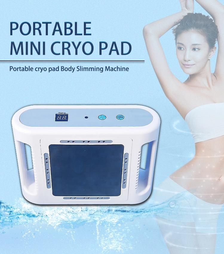 Home Use Slimming Machine Mini Cryolipolysis Fat Reducing Machine