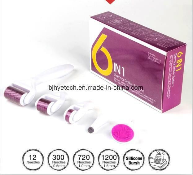 Hot 6 in 1 Derma Roller Skin Care Roller Microneedle Roller System