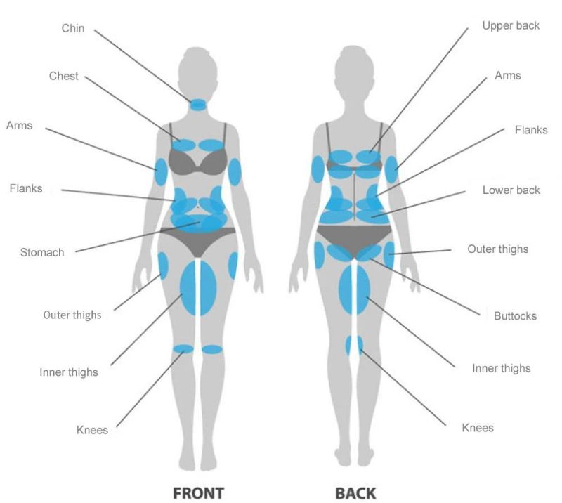 The Newesst Sincoheren Most Popular Cryo Coolplas Machine for Fat Reduction Body Slimming Weight Loss Factory Price