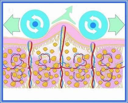 Globalipl RF Roller Vacuum Slimming Apparatus