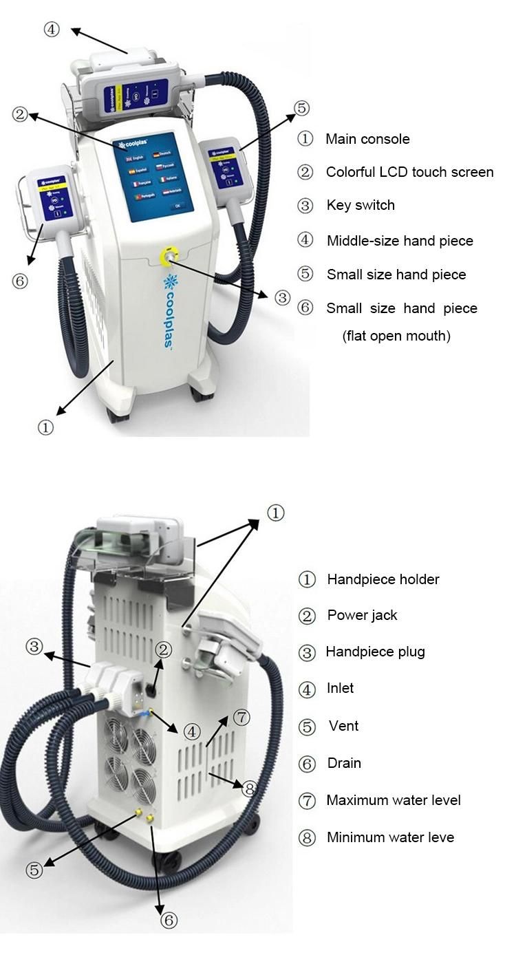 New Product Ideas 2019 Fat Freezing Slimming 3-in-1 Rbeautifying Machine