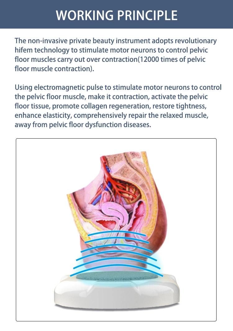 EMS Chair Pelvic Floor Muscle Building Hiemtsure Machine EMS