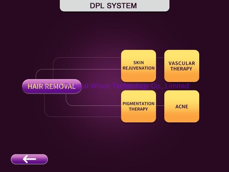 Dpl Two Handles Skin Rejuvenation Acne Pigmentation Treatment Dpl Laser Machine IPL Hair Removal Shr Opt