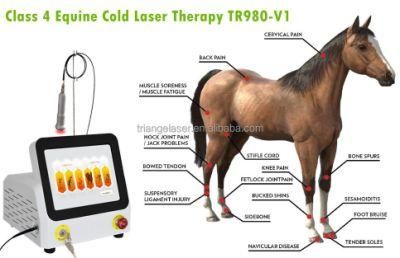 Veterinary Medicine Diode Laser Pain Relief Therapy