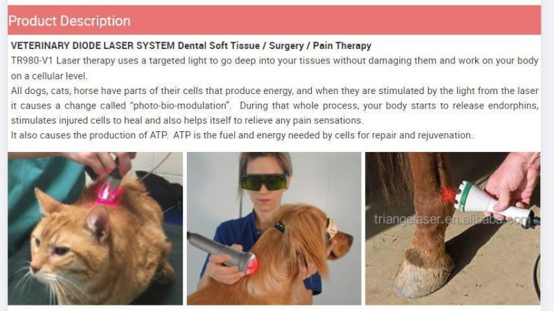Veterinary Laser Class IV Long Wavelength 980nm Pain Relief for Vet Clinic Pets and Lager Animals Portable Equipment