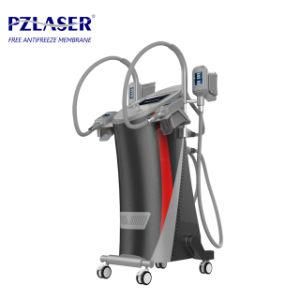Pz-806 Cryotherapy Machine, Cryolipolysi Slimming Machine for Salon, Clinic Use