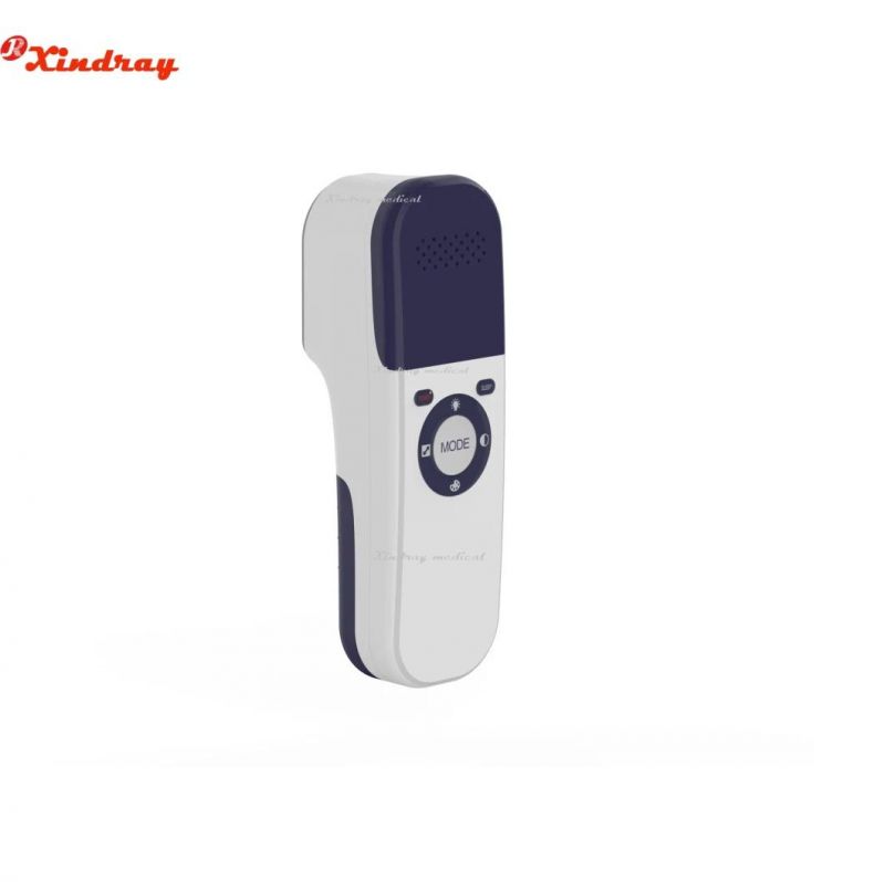 Painfree Hair Removal Beauty Laser Instrument Popular in Summer
