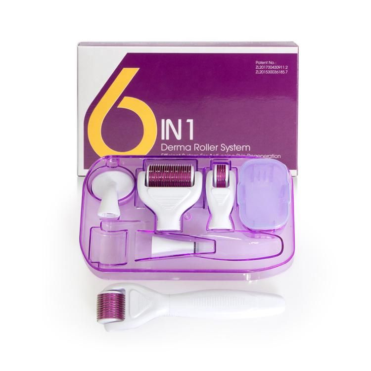 Micro Needle Roller Skin Care Machine 6 in 1 Suit