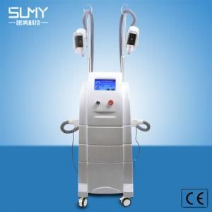 Multi-Functional Vacuum/Cavitation/RF Fat Freezing Slimming Boay Care Beauty Equipment