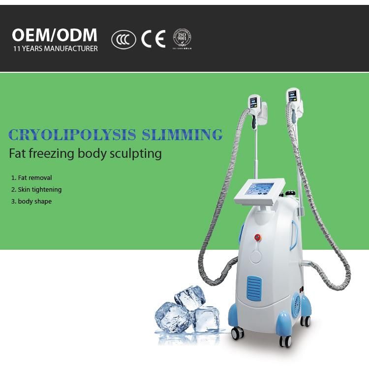 Fat Reduction Machine Cryotherapy Cool Tech Fat Freezing Machine for Salon Use