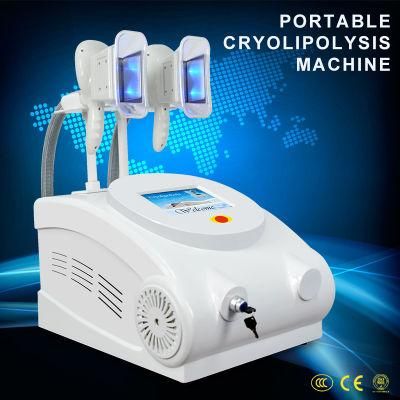 Promotion! Fat Freezing Cryolipolysis Beauty Machine for Body Slimming