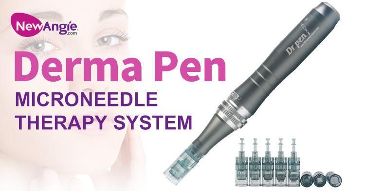 Beauty Mts Home Uesd Wrinkle Removal Wholesale Microneedle Derma Pen