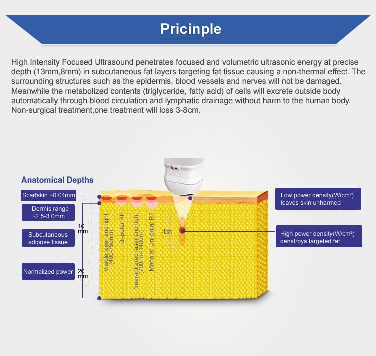 8mm/13mm Cartridge Slimming Body Machine Body Slimming Machine Liposonix Hifu