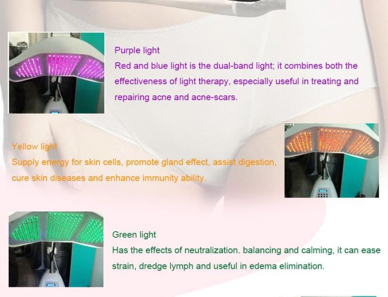 Skin Whitening and Skin Nursing LED Light Phototherapy PDT Beauty Equipment