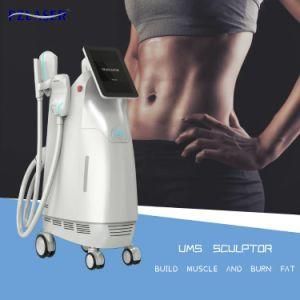 2021 Popular Style EMS System Body Sculpt Electromagnetic Muscle Stimulator Weight Loss Device