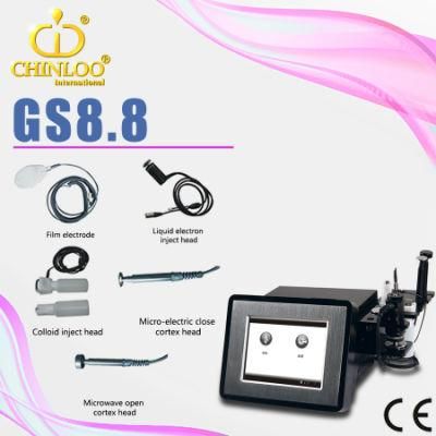 Portable Home No Needle Mesotherapy Hydrogel Injections Machine (GS8.8)