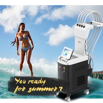 USA 1060nm Diode Laser Equipment Diode Laser Cool Slimming Machine with Best Result