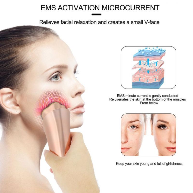 Wholesale 4 Color LED Light Facial RF Beauty Device Anti-Aging EMS High Radio Frequency Skin Care Device