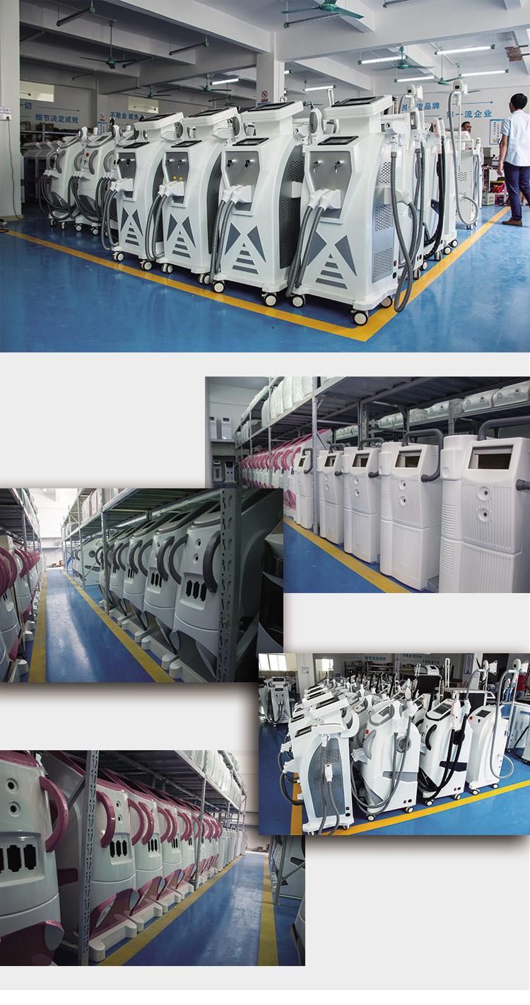 Commercial Use Fat Freezing Machine Criolipolise China Supplier