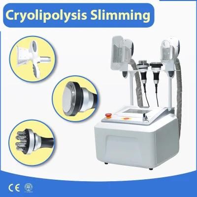 Lose Weight Cryolipolysis Body Shaping Machine 2019 Hot Selling