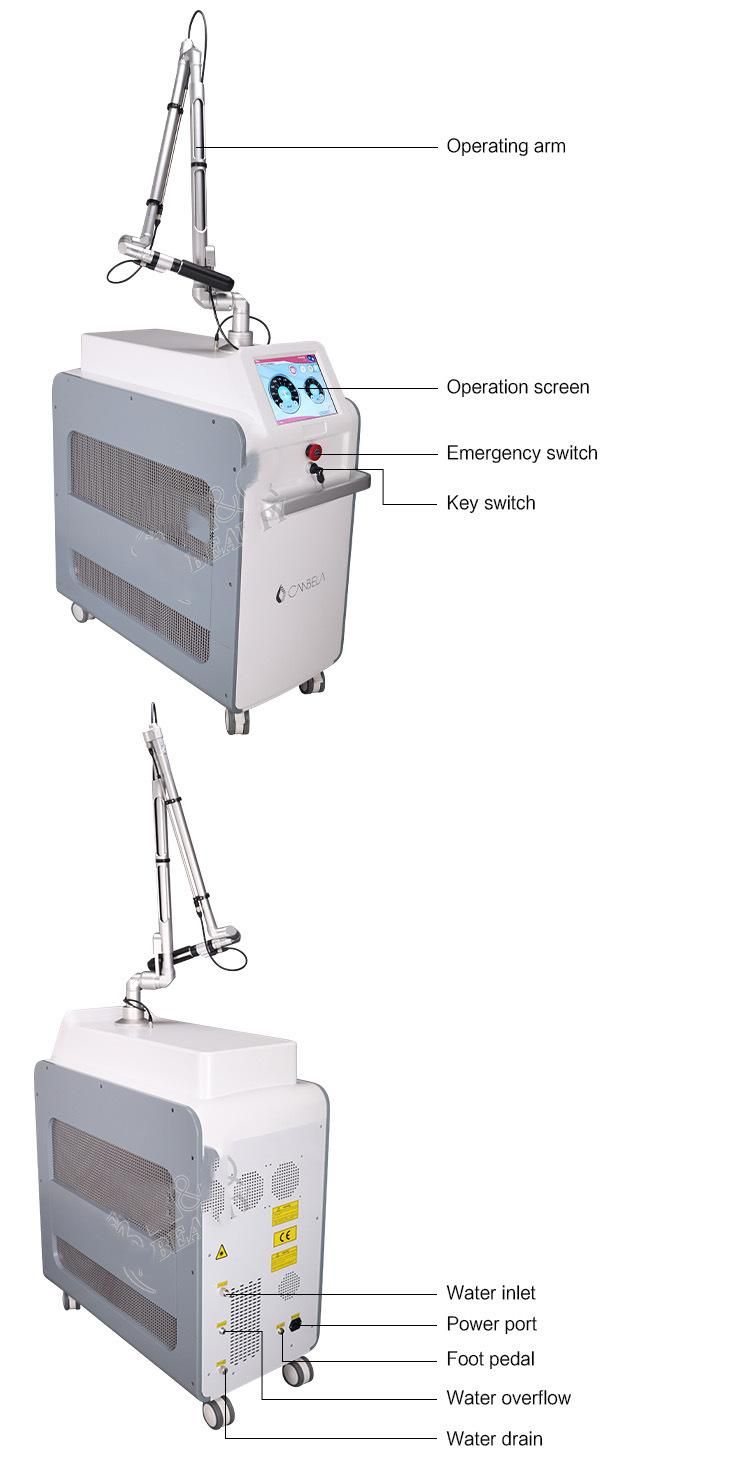 Picosecond Laser Birth Mark /Pigment Black Spot Tattoo Removal Machine