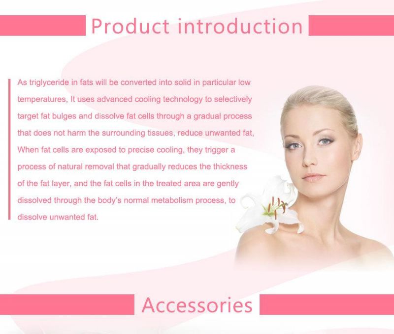 Laser Vacuum Cryolipolysis Beauty Equipment for Weight Loss (ETG50-3S)