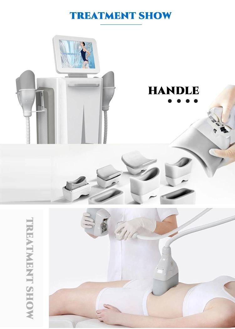 360 4 Handles Cryo Cryolipolisis Slimming Machine Fat Freezing