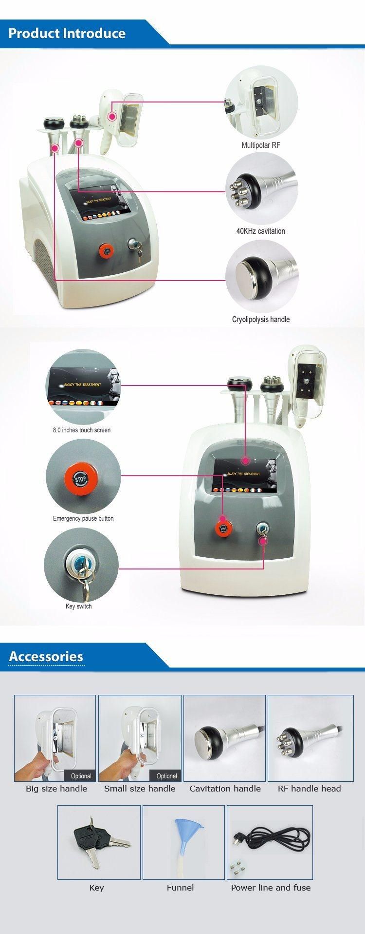 3 in 1 Cavitation RF Criolipolisys Machine for Weight Loss