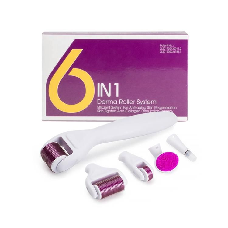 6 in 1 Microneedling Derma Roller Kit for Body Face Eyes