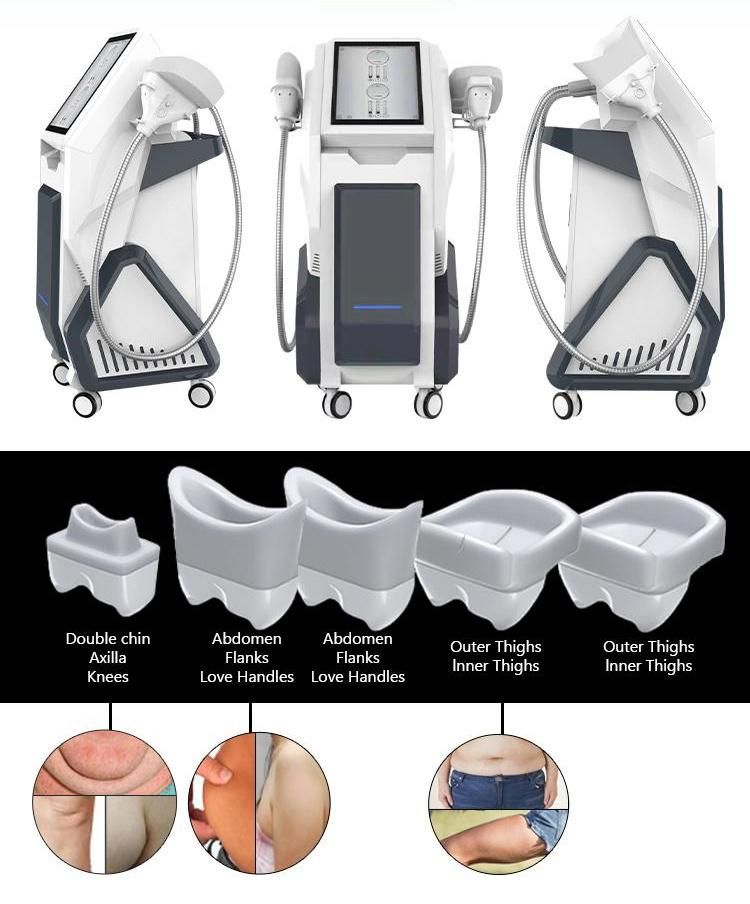 High Quality Body Shaping Fat Freezing Machine Cryolipolysis with 2 Handles Price