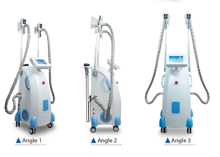 2019 China Manufacturer Four Cryolipolysis Machine for Sale/Criolipolisis Machine Cryolipolysis