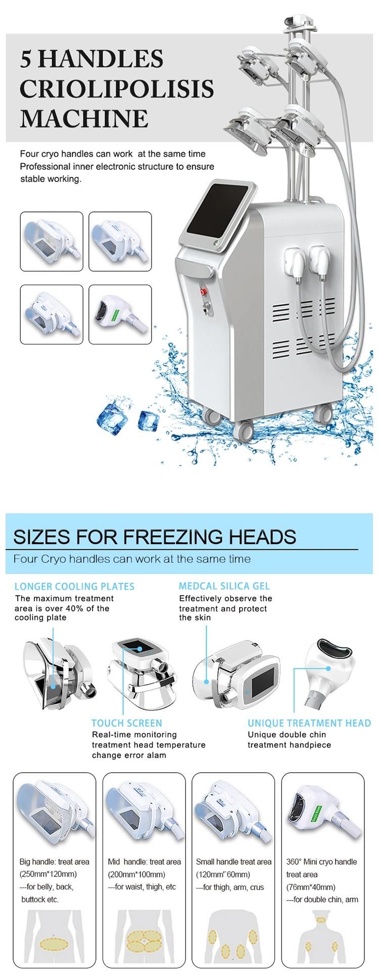 2022 Cryolipolysis Cryotherapy Fat Freezing Machine with Double Chin Handle