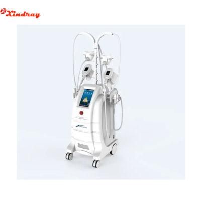 Cryolipolysis Fat Freezing Machine Cooling Fat Freezing Anti-Cell for Double Chin
