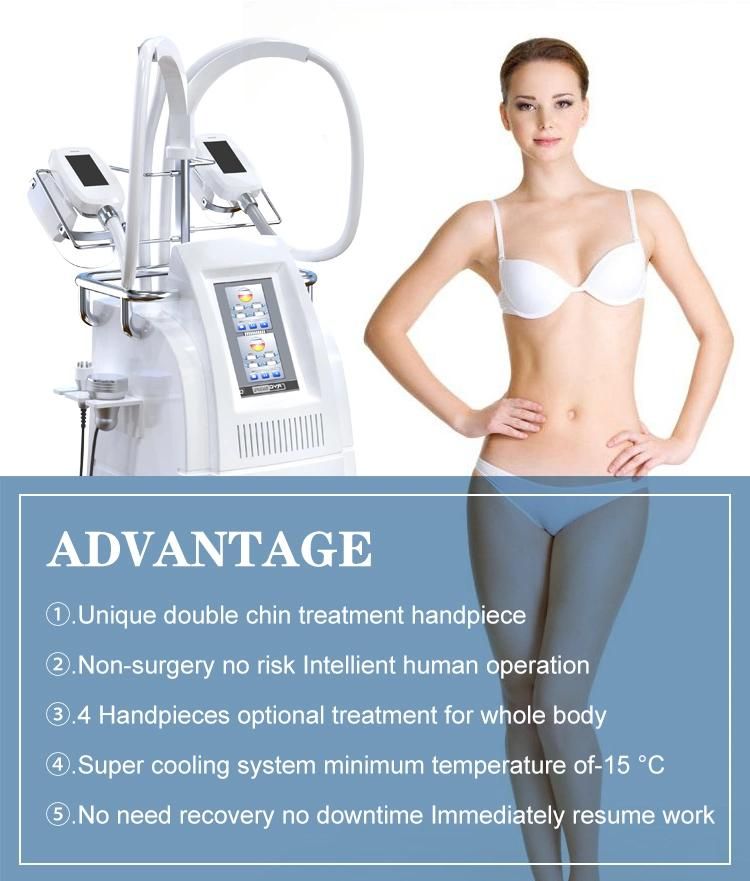 Vacuum Cryo System for Slimming with 5 Handles Cryo 360 Cryolipolysis Machine