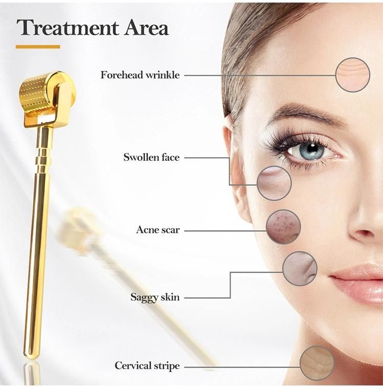 Seamless Metal Derma Roller 0.2mm 0.3mm High Quality Gold Face Acne Scar Micro Needling Derma Roller