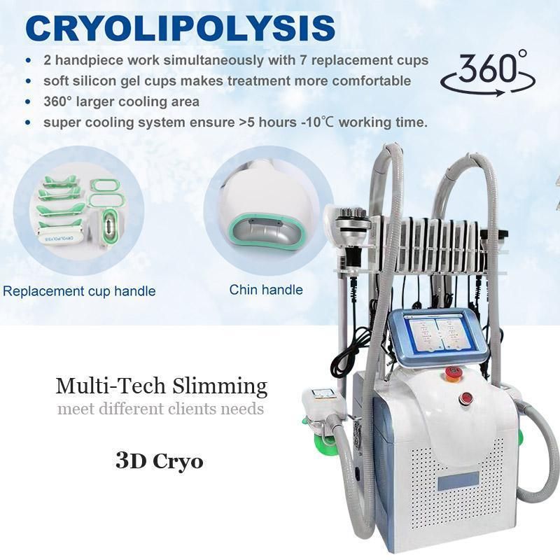 Portable 360 Cryo Cryolipolyse Cryotherapy Slimming Machine Portable / Criolipolisis Machine
