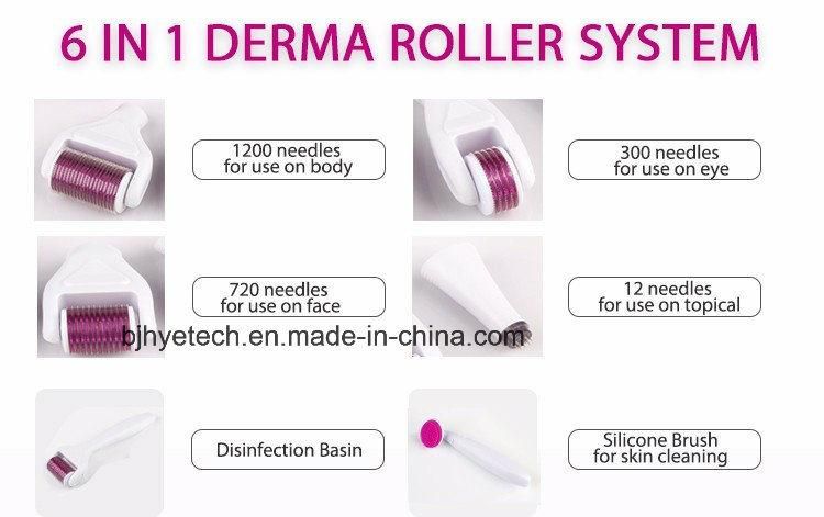 Factory 6 in 1 Derma Roller Skin Roller Wrinkle Removal Microneedle