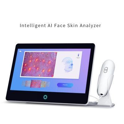 Portable Facial Smart Skin Analyzer Machine, Digital Handheld Camera Skin Analyzer Mslsk12