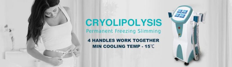 Best Professional Fat Freeze Criolipolisis Machine Cryolipolysis Slimming