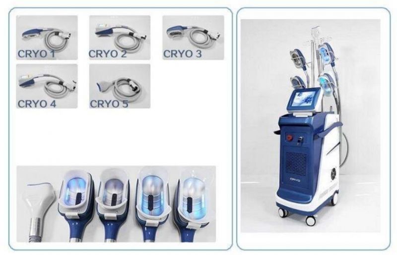 Multi-Tech 360 Angle Surrounding Cryolipolysis Frozen Slimming Machine with 5 Handles Mslcy43b