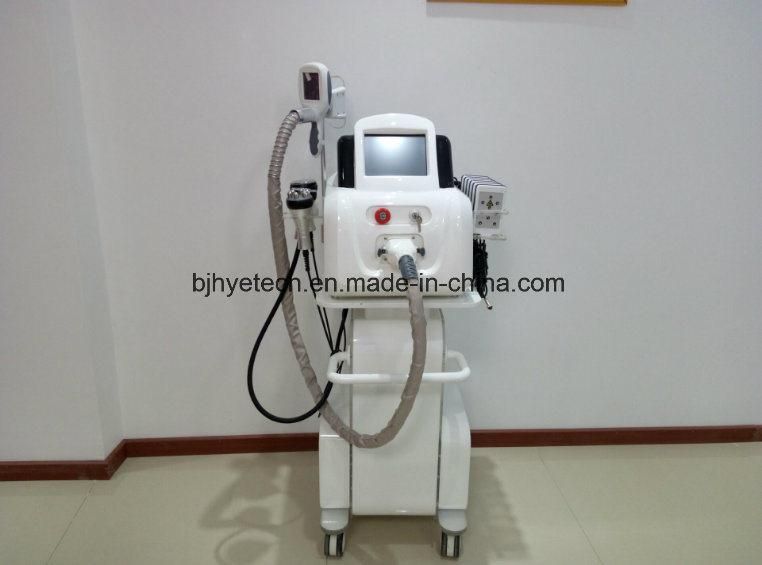 Ce Approval Cryolipolysi Slimming Machine with 4 Handles for Loss Weight