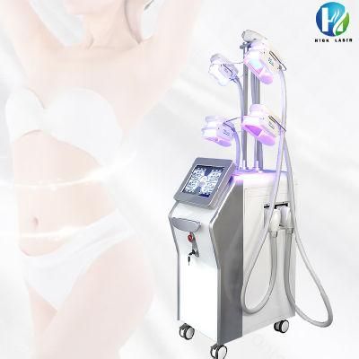 Professional Weight Loss Cellulite Removal Face Care Frozen Body Slimming Fat Freezing 360 Machine Suitable to Trader Wholesaler