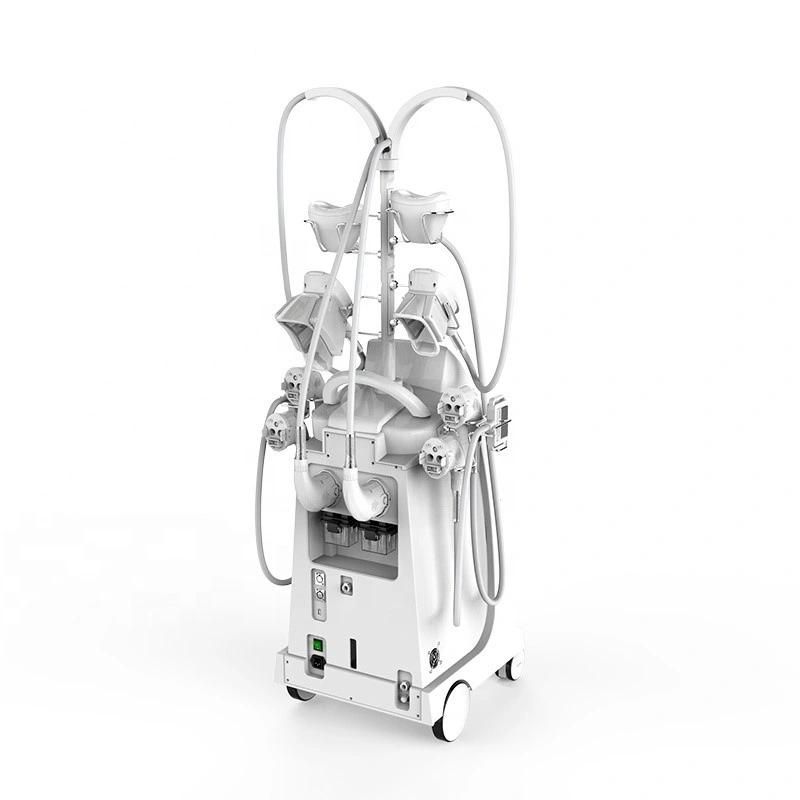 Etg50-5s High Quality Cryolipolysis Fat Freeze Double Chin Removal Weight Loss Equipment with 5 Handles