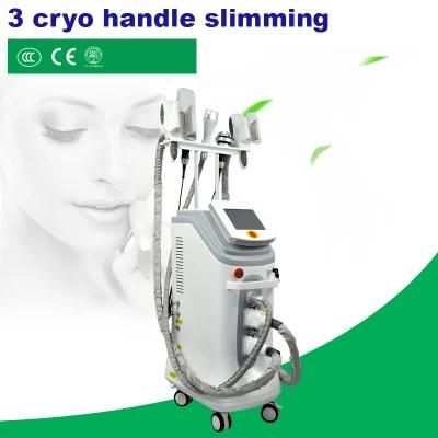 3 Handles Cryolipolysis Fat Freezing Slimming Machine with Double Chin Handle