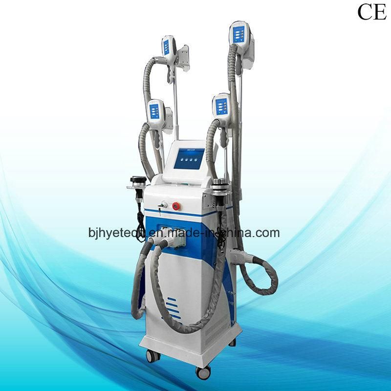 Professional Cryolipolysis Slimming Machine Fat Loss Weight Loss Equipment