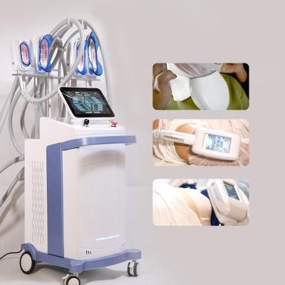 Fat Freezing Slimming Kryolipolyse Cryotherapy Weight Loss Machine