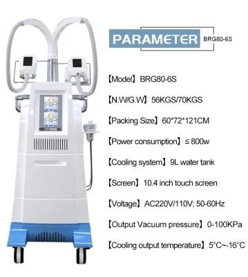 Cool Tech for Fat Freezing with 2 Handles Cryolipolysis Beauty Machine